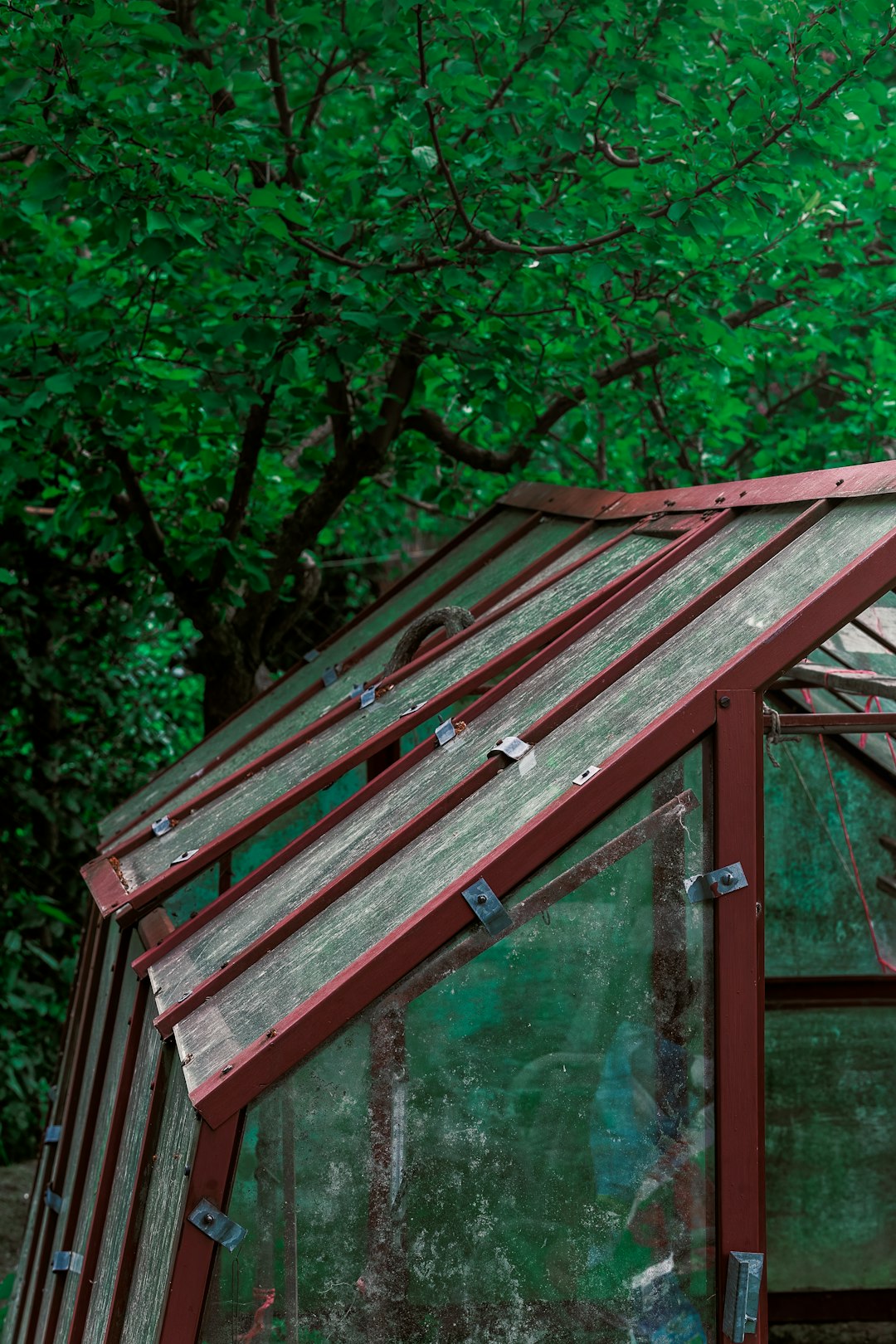 portable greenhouse portable greenhouse